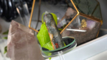 Load image into Gallery viewer, 3" Seftonite Bloodstone Crystal Pillar Tower

