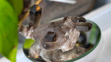 Load image into Gallery viewer, 3" Smokey Quartz Crystal Cluster
