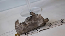 Load image into Gallery viewer, 3" Smokey Quartz Crystal Cluster
