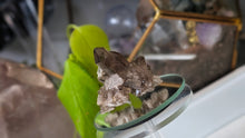 Load image into Gallery viewer, 2.5" Smokey Quartz Crystal Cluster
