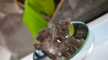 Load image into Gallery viewer, 2.5" Smokey Quartz Crystal Cluster
