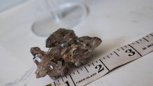 Load image into Gallery viewer, 2.5" Smokey Quartz Crystal Cluster
