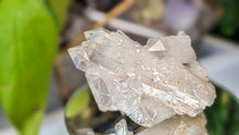 Load image into Gallery viewer, 2.5" Elestial Angel Aura Quartz Soulmate Crystal Cluster
