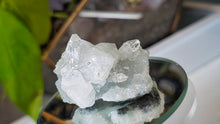 Load image into Gallery viewer, 2" Apophyllite Quartz Crystal Cluster
