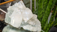 Load image into Gallery viewer, 2" Apophyllite Quartz Crystal Cluster
