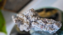 Load image into Gallery viewer, 2" Grape Agate Crystal Cluster
