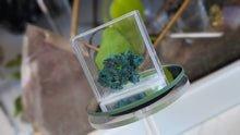 Load image into Gallery viewer, 1.5" Mini Velvet Congo Malachite Cluster
