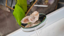 Load image into Gallery viewer, 2" Spirit Cactus Quartz Crystal Cluster
