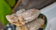 Load image into Gallery viewer, 2" Spirit Cactus Quartz Crystal Cluster
