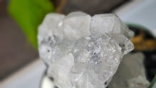 Load image into Gallery viewer, 2.5" Apophyllite Quartz Crystal Cluster
