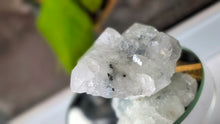 Load image into Gallery viewer, 2.5" Apophyllite Quartz Crystal Cluster
