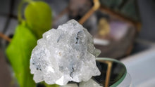 Load image into Gallery viewer, 2.5" Apophyllite Quartz Crystal Cluster
