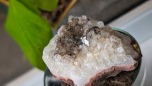 Load image into Gallery viewer, 3" Goethite &amp; Citrine Quartz Crystal Cluster
