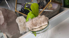 Load image into Gallery viewer, 3" Clear Quartz Crystal Cluster
