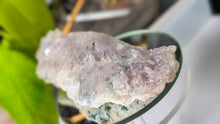 Load image into Gallery viewer, 3.5" Flower Amethyst Crystal Cluster

