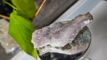 Load image into Gallery viewer, 3.5" Flower Amethyst Crystal Cluster
