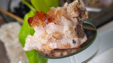 Load image into Gallery viewer, 3.5" Citrine Quartz Crystal Cluster
