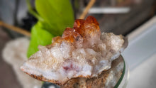 Load image into Gallery viewer, 3.5" Citrine Quartz Crystal Cluster
