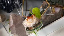Load image into Gallery viewer, 3" Citrine Quartz Crystal Cluster
