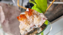 Load image into Gallery viewer, 3" Citrine Quartz Crystal Cluster
