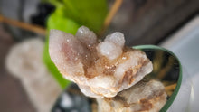 Load image into Gallery viewer, 2" Spirit Cactus Quartz Crystal Cluster
