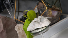 Load image into Gallery viewer, 3.5" Apophyllite Quartz Crystal Cluster
