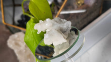 Load image into Gallery viewer, 2.5" Apophyllite Quartz Crystal Cluster
