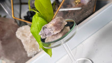 Load image into Gallery viewer, 2" Super 7 Crystal Cluster
