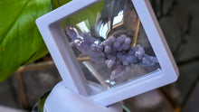 Load image into Gallery viewer, 2" Rare Botryoidal Grape Agate in Display Case
