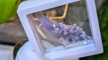 Load image into Gallery viewer, 2" Rare Botryoidal Grape Agate in Display Case
