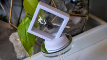 Load image into Gallery viewer, 1" Rare Andradite Black Garnet in Display Case
