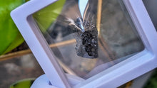 Load image into Gallery viewer, 1" Rare Andradite Black Garnet in Display Case
