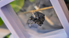Load image into Gallery viewer, 1" Rare Andradite Black Garnet in Display Case
