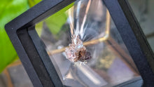 Load image into Gallery viewer, .5" Vera Cruz Amethyst Crystal in Display Case
