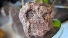 Load image into Gallery viewer, 3" Pink Fluorite Crystal Cluster
