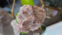 Load image into Gallery viewer, 3" Pink Fluorite Crystal Cluster
