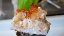 Load image into Gallery viewer, 3" Citrine Quartz Crystal Cluster
