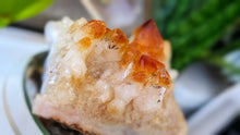 Load image into Gallery viewer, 3" Citrine Quartz Crystal Cluster
