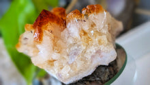 Load image into Gallery viewer, 3" Citrine Quartz Crystal Cluster
