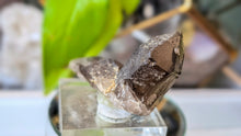 Load image into Gallery viewer, 2" Colorado Smokey Quartz Crystal
