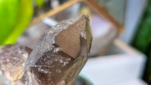 Load image into Gallery viewer, 2" Colorado Smokey Quartz Crystal
