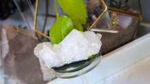 Load image into Gallery viewer, 4" Apophyllite Quartz Crystal Cluster
