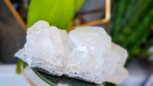 Load image into Gallery viewer, 4" Apophyllite Quartz Crystal Cluster
