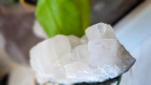 Load image into Gallery viewer, 4" Apophyllite Quartz Crystal Cluster
