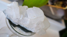 Load image into Gallery viewer, 4" Apophyllite Quartz Crystal Cluster
