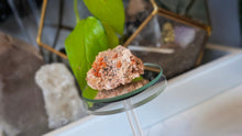 Load image into Gallery viewer, 2" Rare Vanadinite Crystal Cluster
