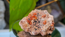 Load image into Gallery viewer, 2" Rare Vanadinite Crystal Cluster
