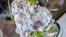 Load image into Gallery viewer, 4" Flower Amethyst Crystal Cluster
