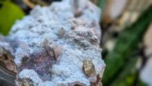Load image into Gallery viewer, 4" Flower Amethyst Crystal Cluster
