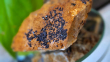 Load image into Gallery viewer, 2.5" Moroccan Azurite Crystal Cluster
